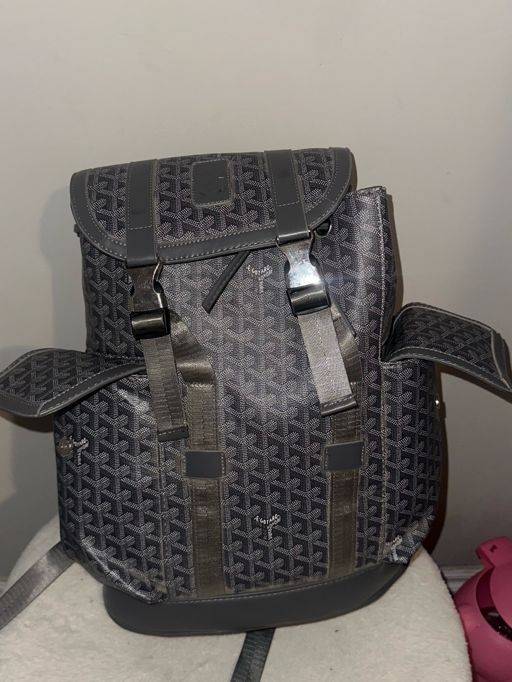 Goyard Gray Patterned Canvas Backpack - Picture 5 of 5